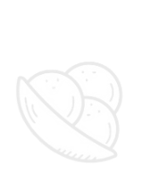 vector